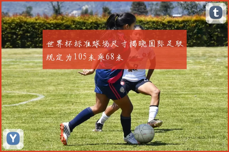 世界杯标准球场尺寸揭晓国际足联规定为105米乘68米