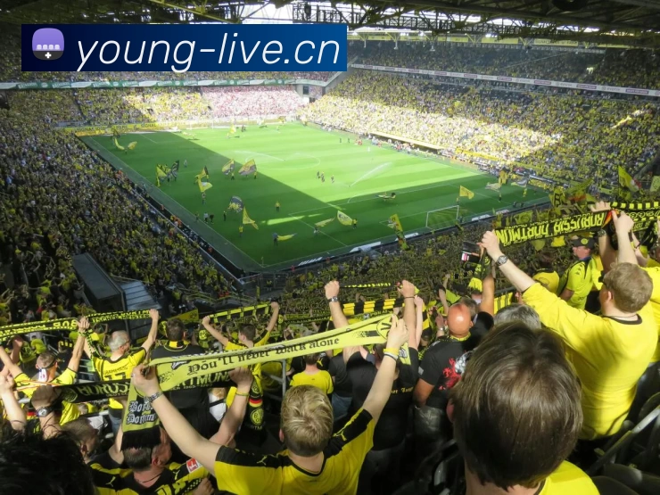 三亿(集团)体育科技有限公司官网发展历程